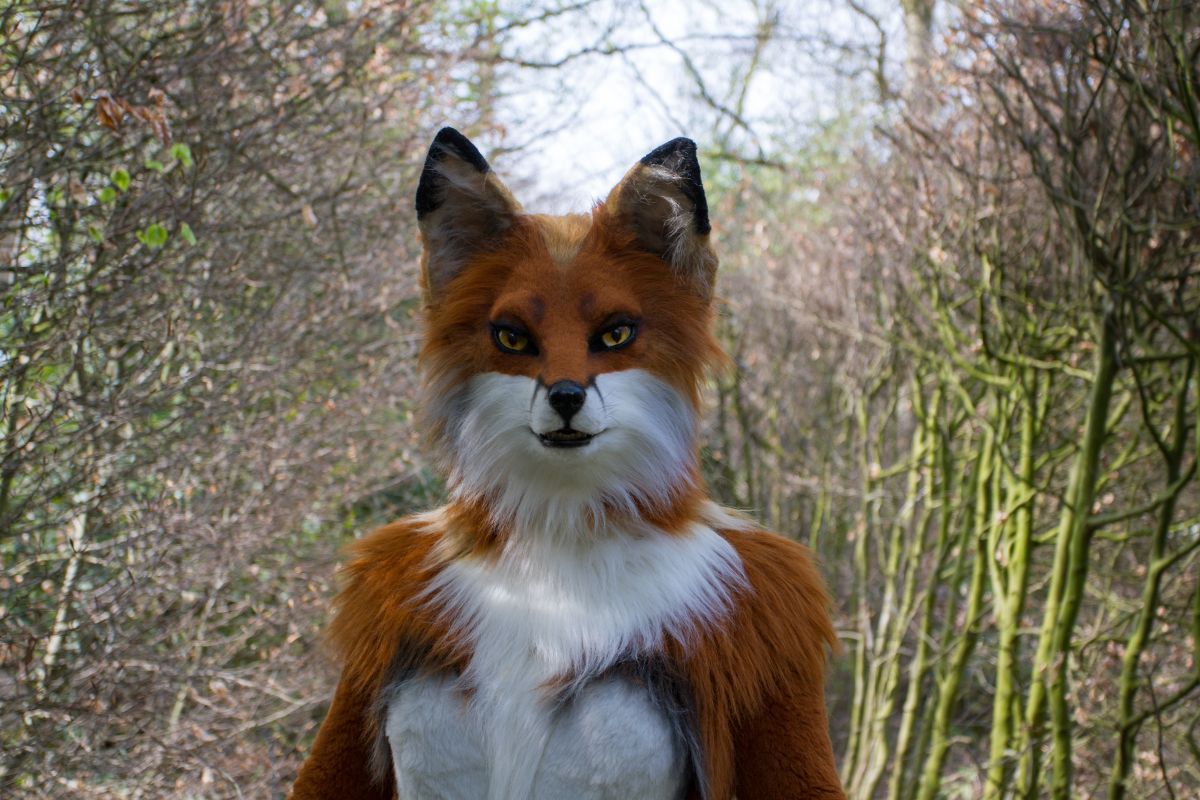 Furry Weekend Holland 2019, Mini photoshoots