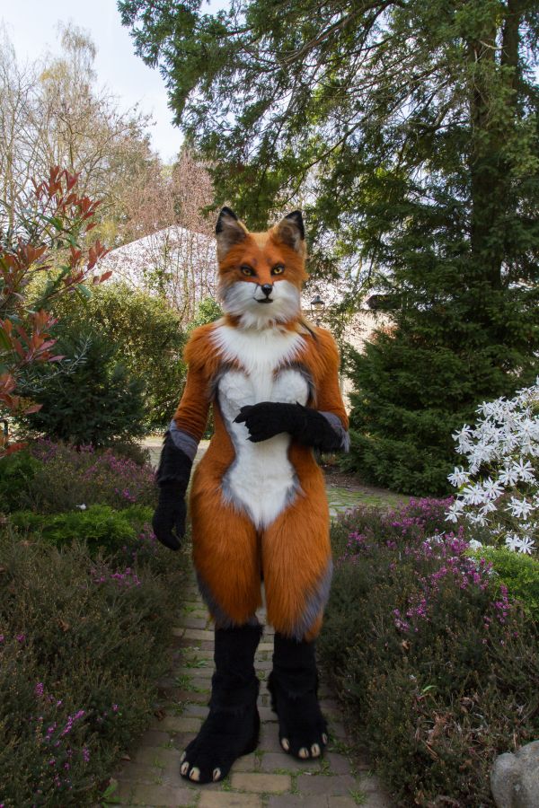 Furry Weekend Holland 2019, Mini photoshoots