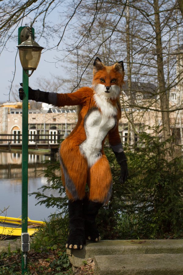 Furry Weekend Holland 2019, Mini photoshoots