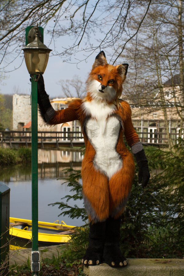 Furry Weekend Holland 2019, Mini photoshoots