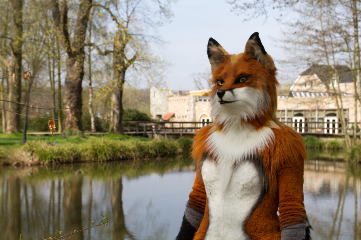 Furry Weekend Holland 2019, Mini photoshoots