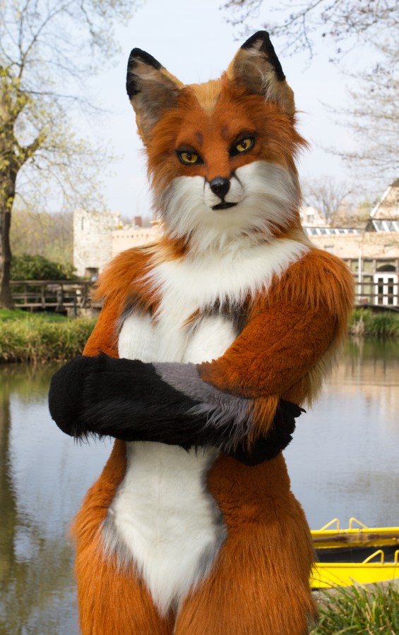 Furry Weekend Holland 2019, Mini photoshoots