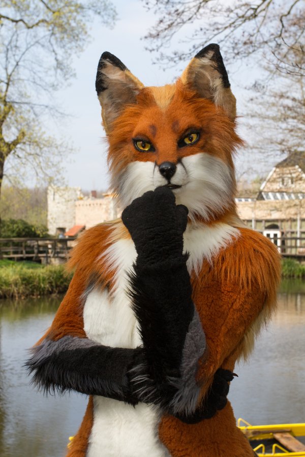 Furry Weekend Holland 2019, Mini photoshoots