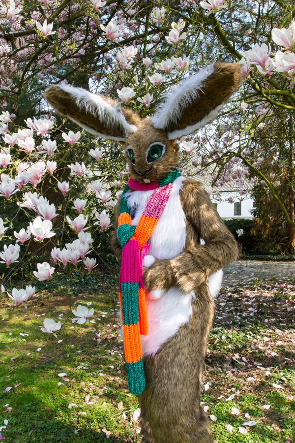 Furry Weekend Holland 2019, Convention photos