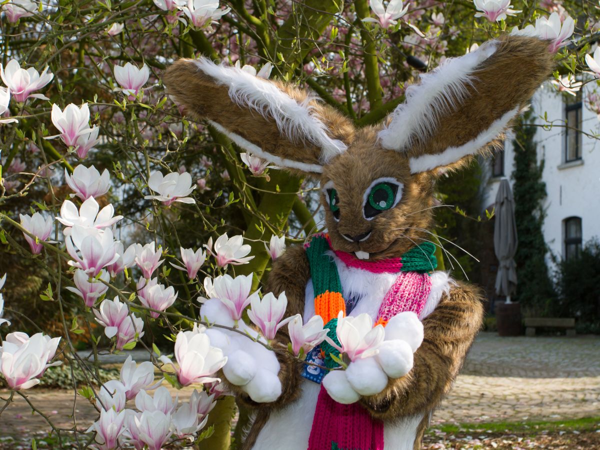 Furry Weekend Holland 2019, Convention photos