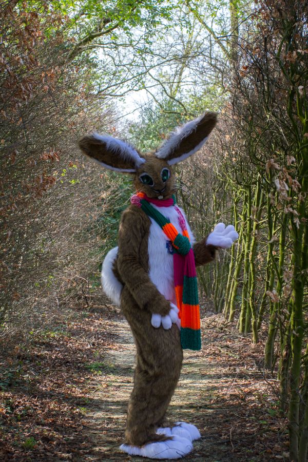 Furry Weekend Holland 2019, Convention photos