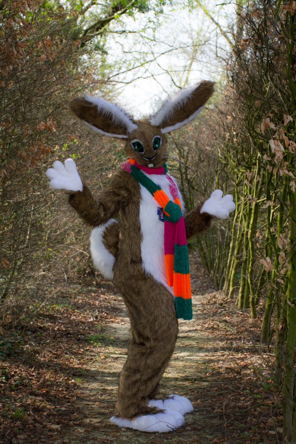 Furry Weekend Holland 2019, Convention photos