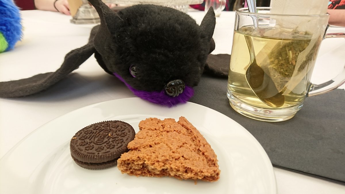 Furry Weekend Holland 2019, Convention photos