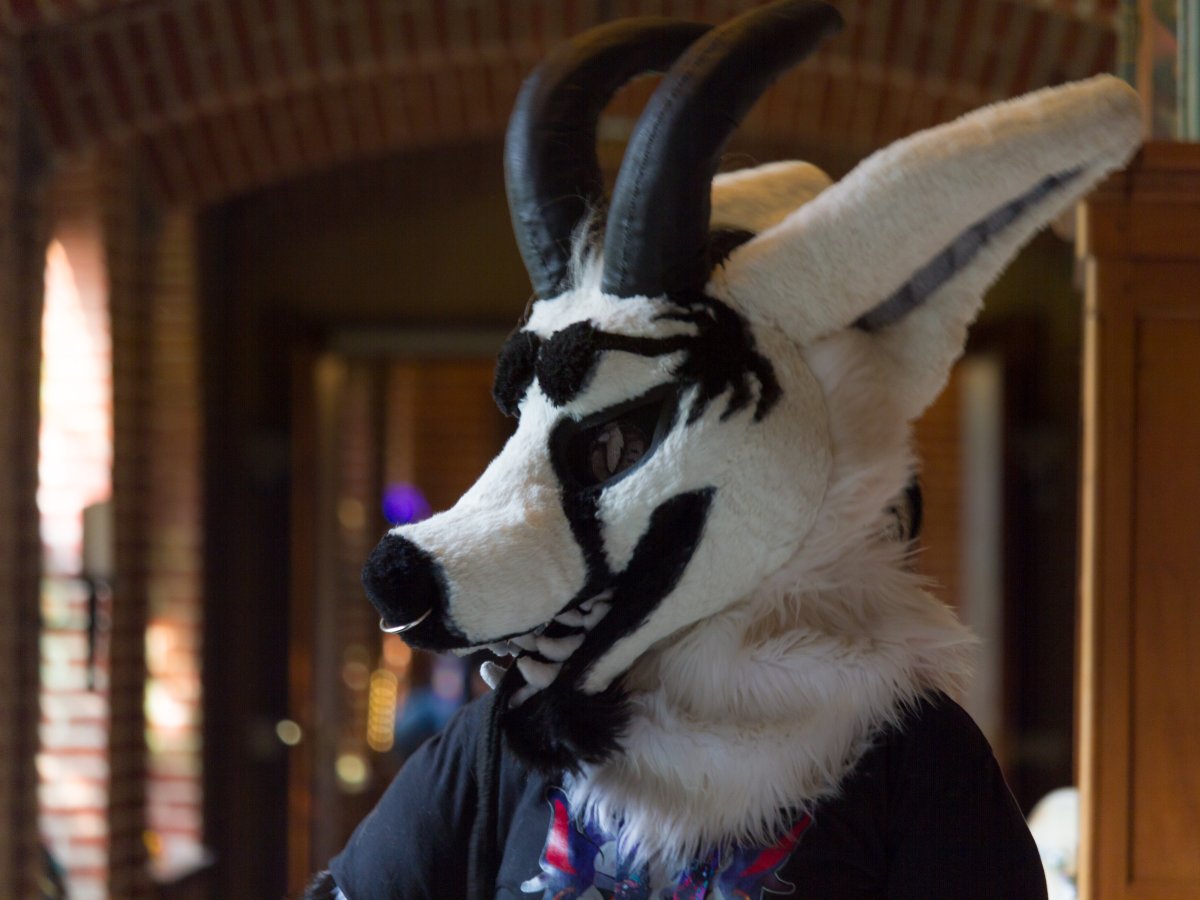 Furry Weekend Holland 2019, Convention photos