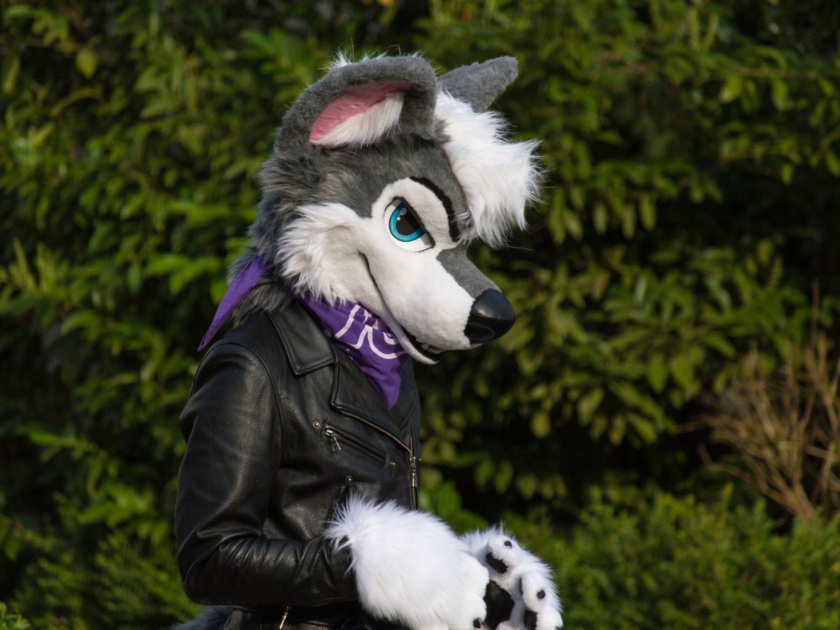 Furry Weekend Holland 2019, Convention photos