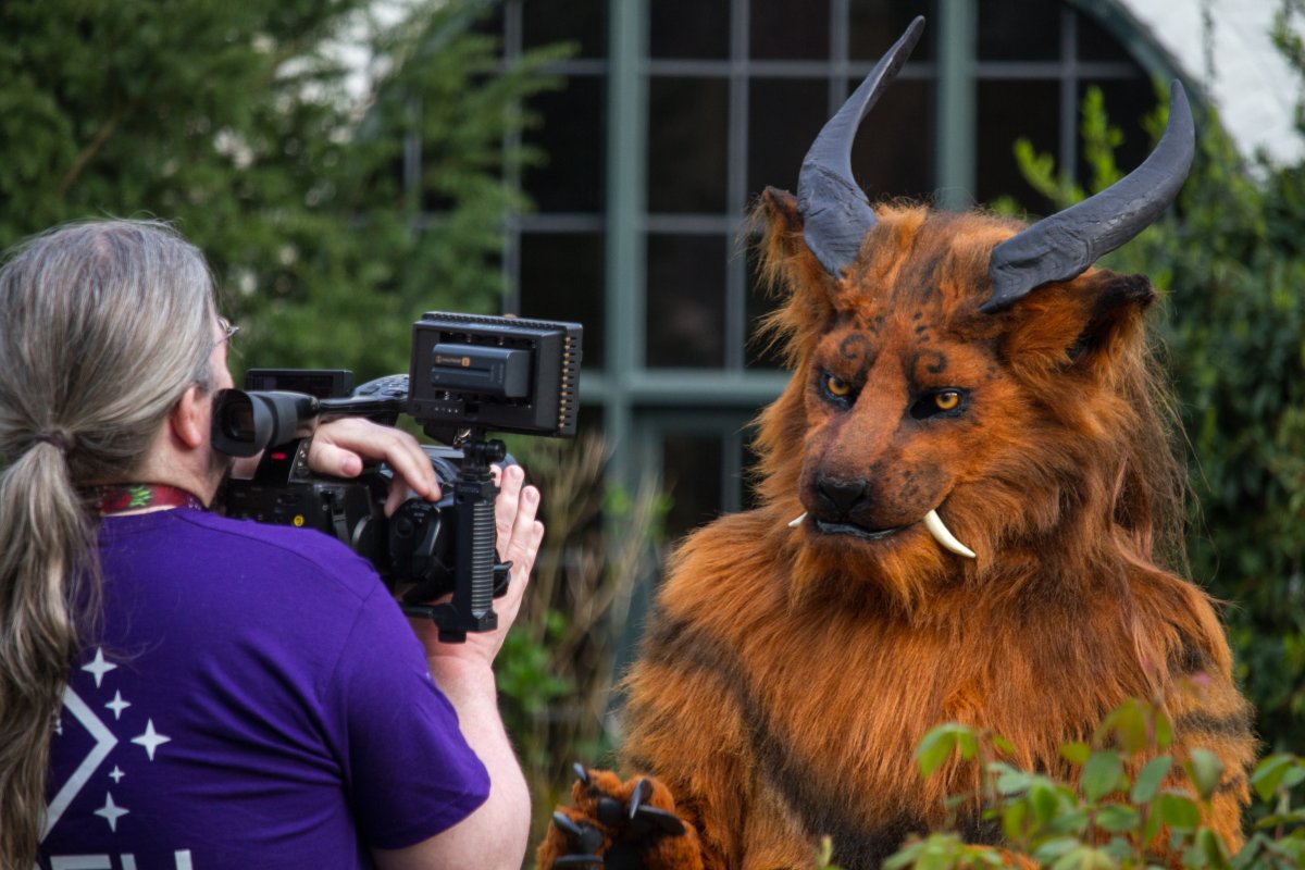 Furry Weekend Holland 2019, Convention photos