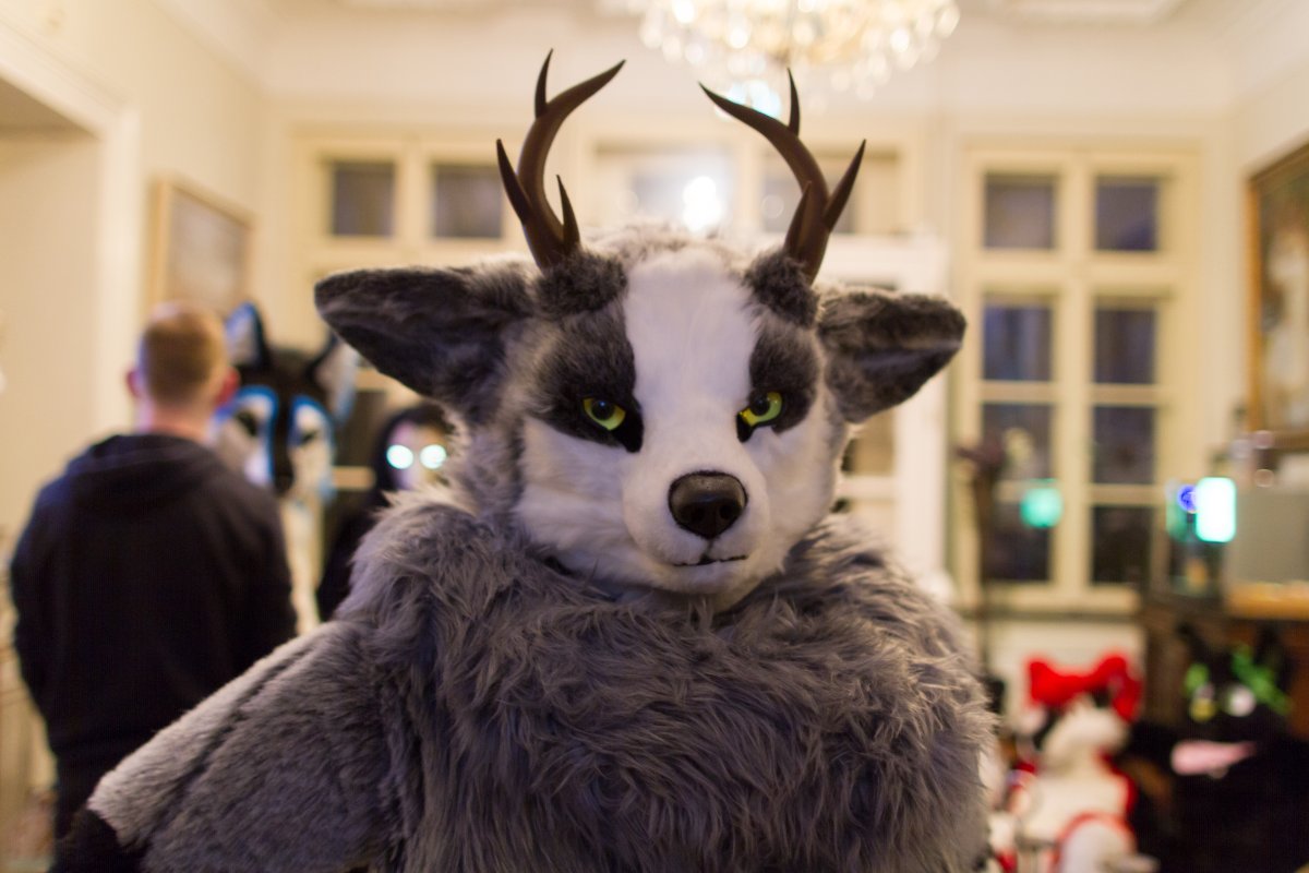 Furry Weekend Holland 2019, Convention photos