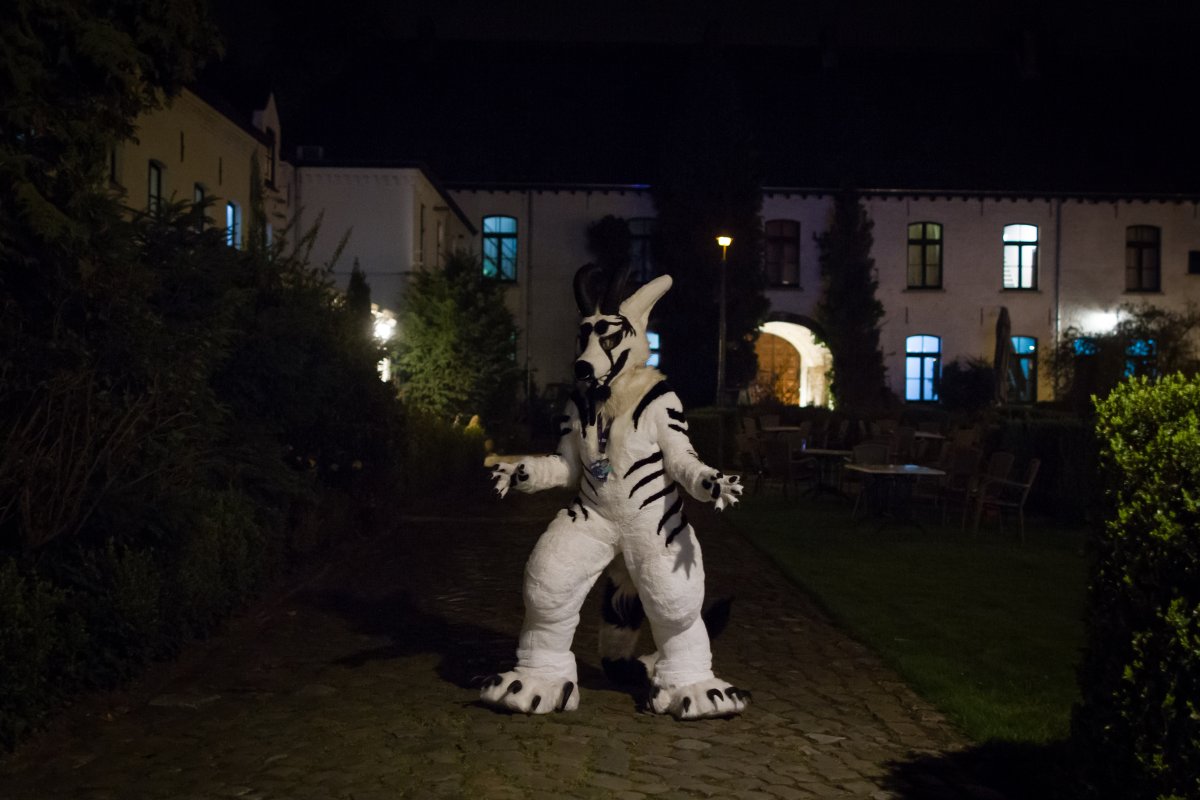 Furry Weekend Holland 2019, Convention photos