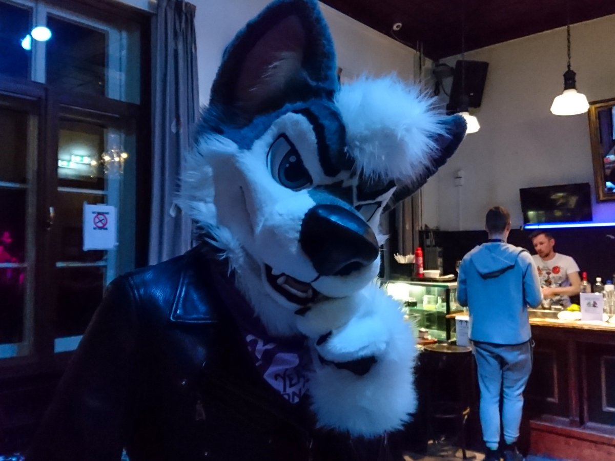 Furry Weekend Holland 2019, Convention photos