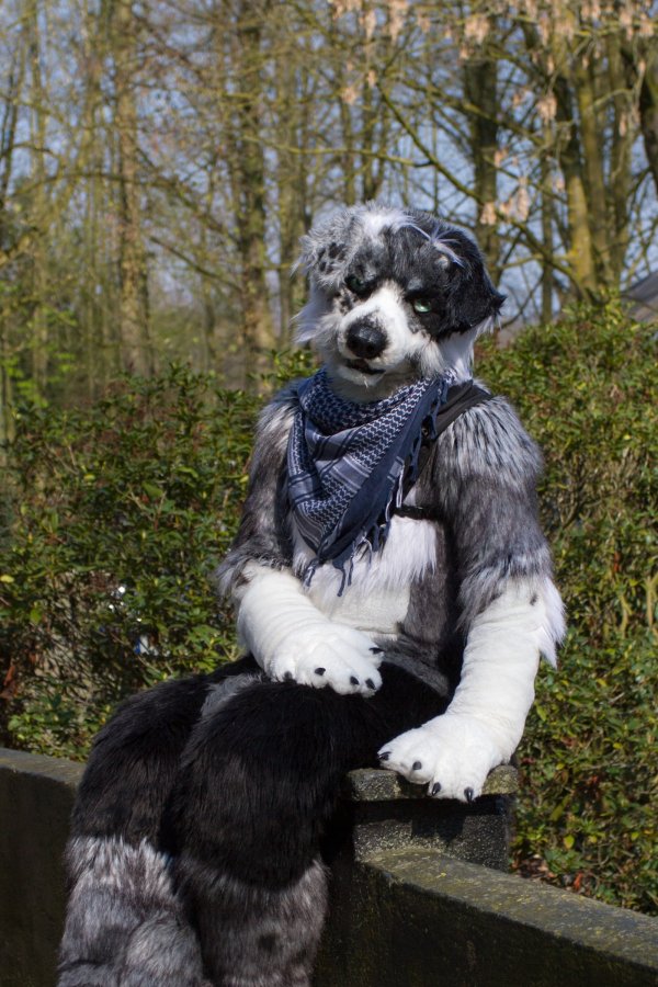 Furry Weekend Holland 2019