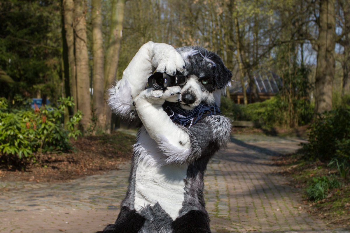 Furry Weekend Holland 2019, Mini photoshoots