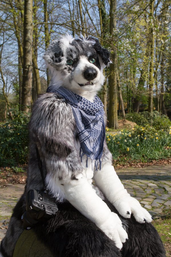 Furry Weekend Holland 2019, Mini photoshoots