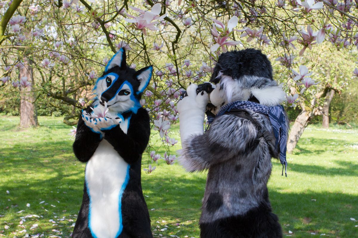 Furry Weekend Holland 2019, Mini photoshoots