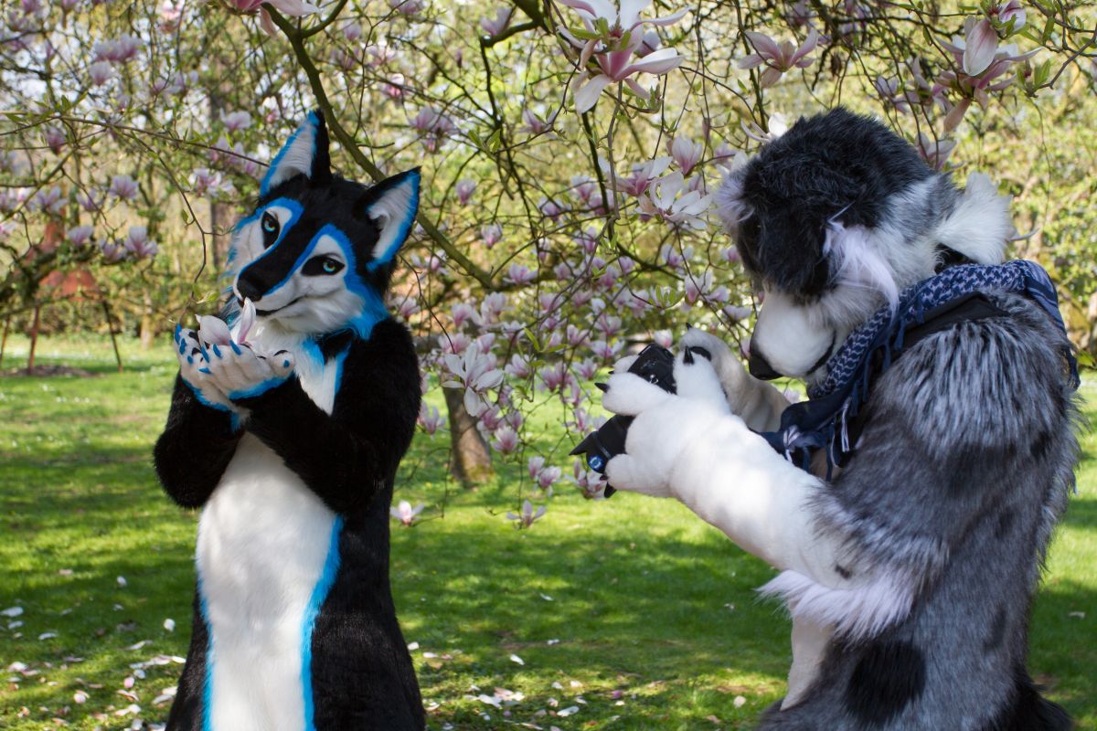 Furry Weekend Holland 2019, Mini photoshoots