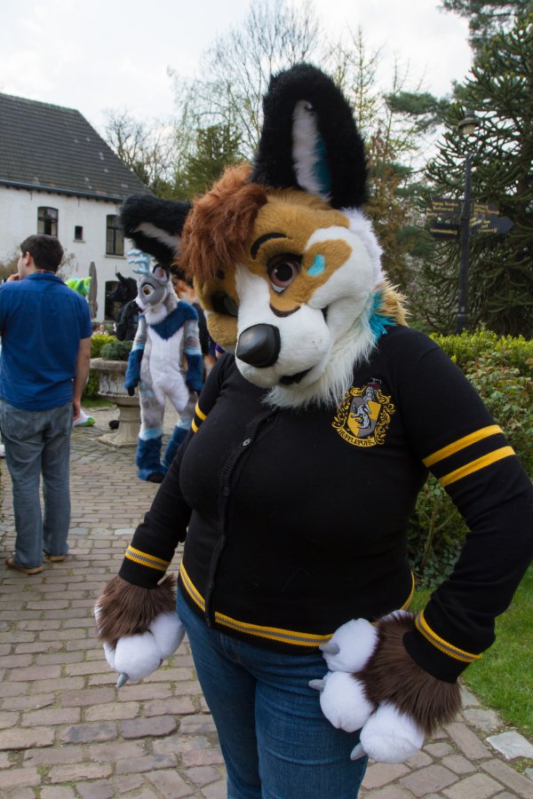 Furry Weekend Holland 2019