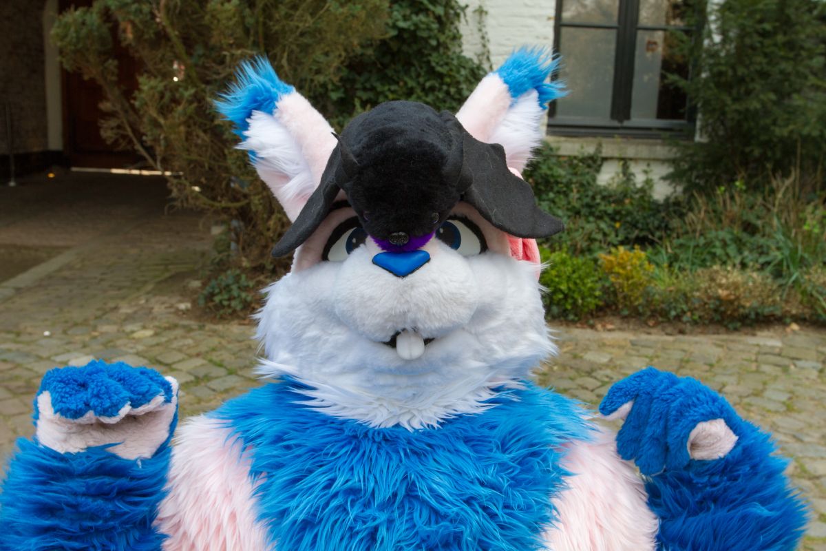 Furry Weekend Holland 2019, Convention photos