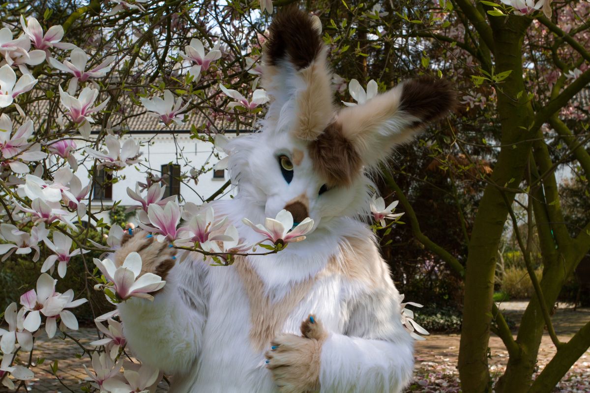 Furry Weekend Holland 2019, Convention photos