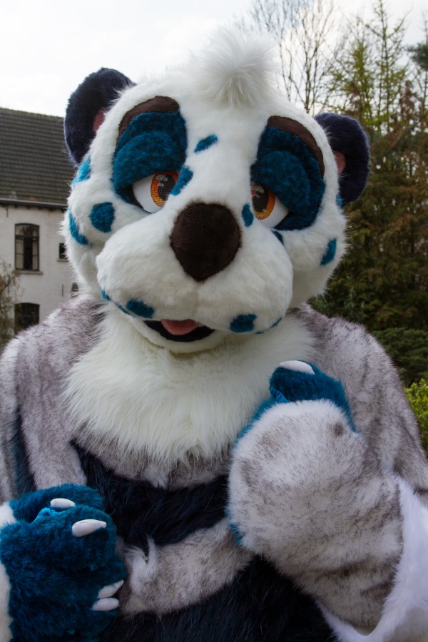Furry Weekend Holland 2019, Convention photos