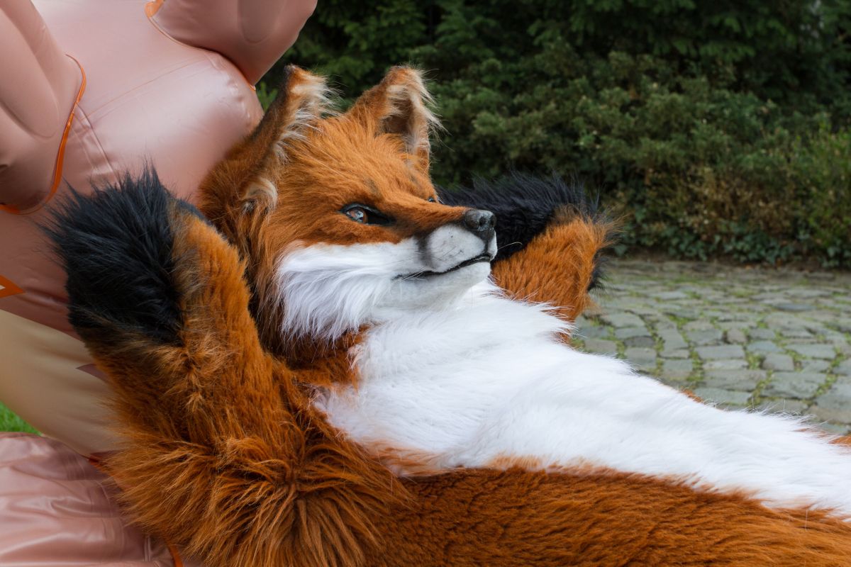 Furry Weekend Holland 2019, Convention photos