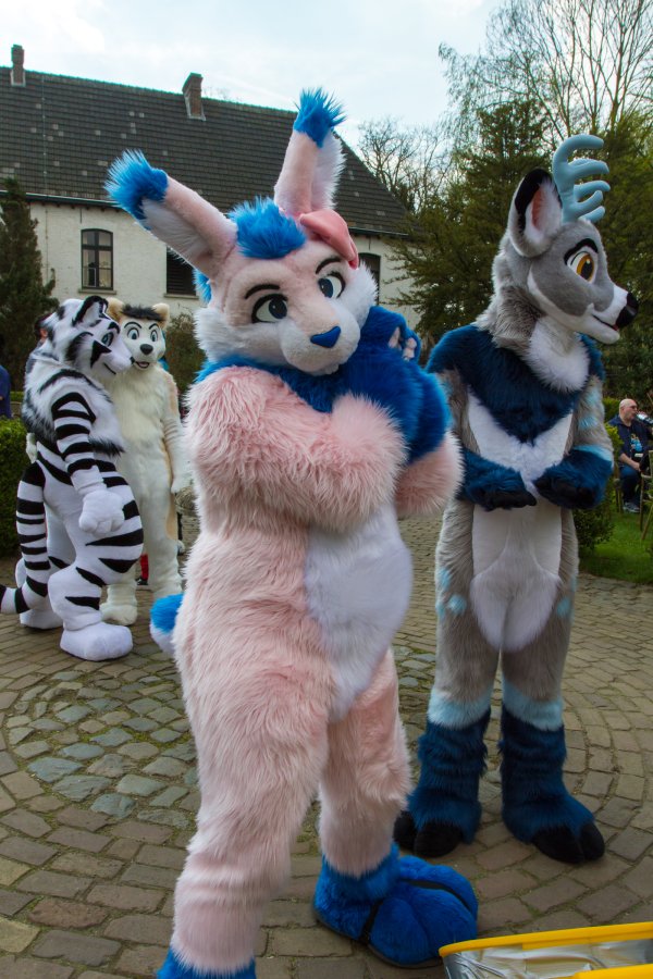 Furry Weekend Holland 2019, Convention photos