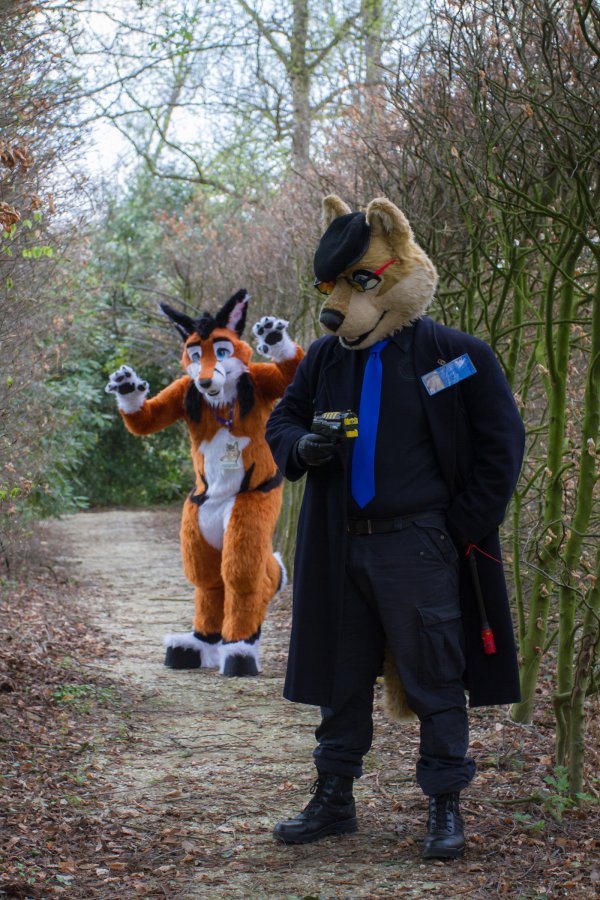 Furry Weekend Holland 2019, Convention photos