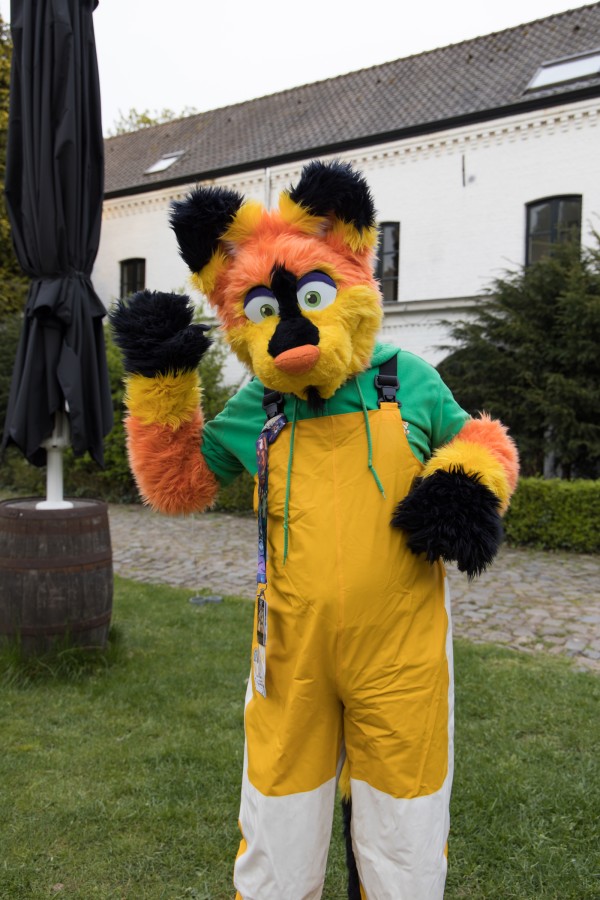 Furry Weekend Holland 2022, Fursuits