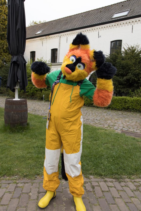 Furry Weekend Holland 2022, Fursuits