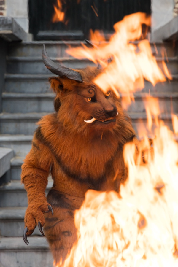Furry Weekend Holland 2022
