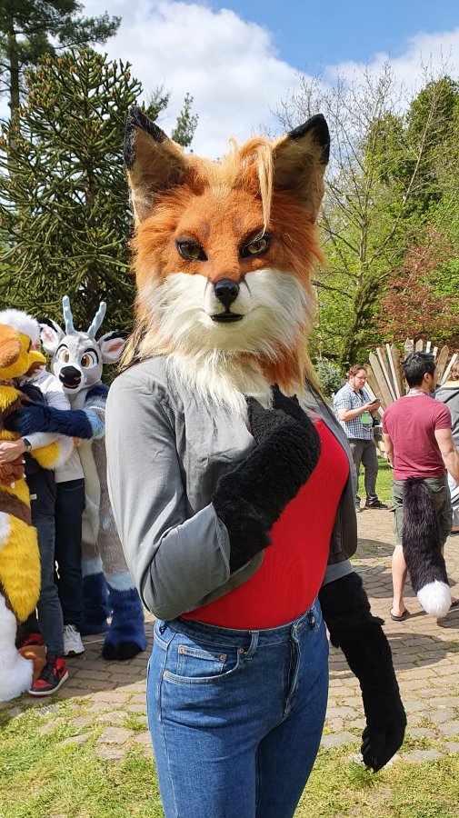 Furry Weekend Holland 2022, Fursuits