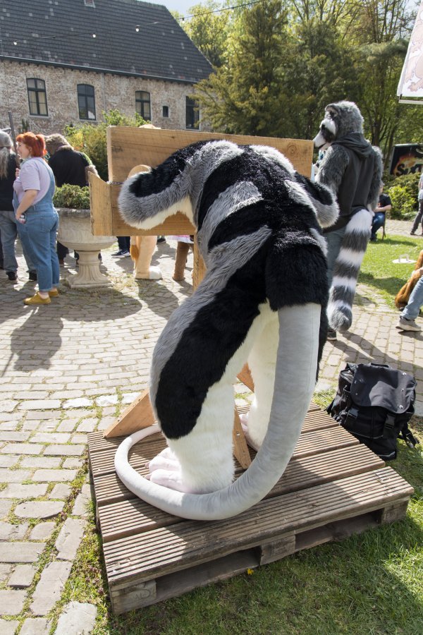 Furry Weekend Holland 2022, Fursuits