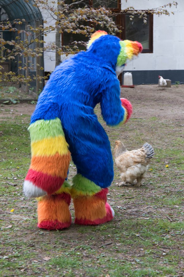 Furry Weekend Holland 2022, Fursuits