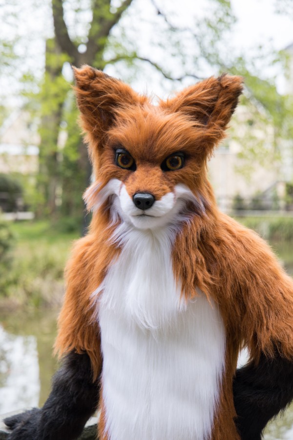 Furry Weekend Holland 2022, Photoshoots