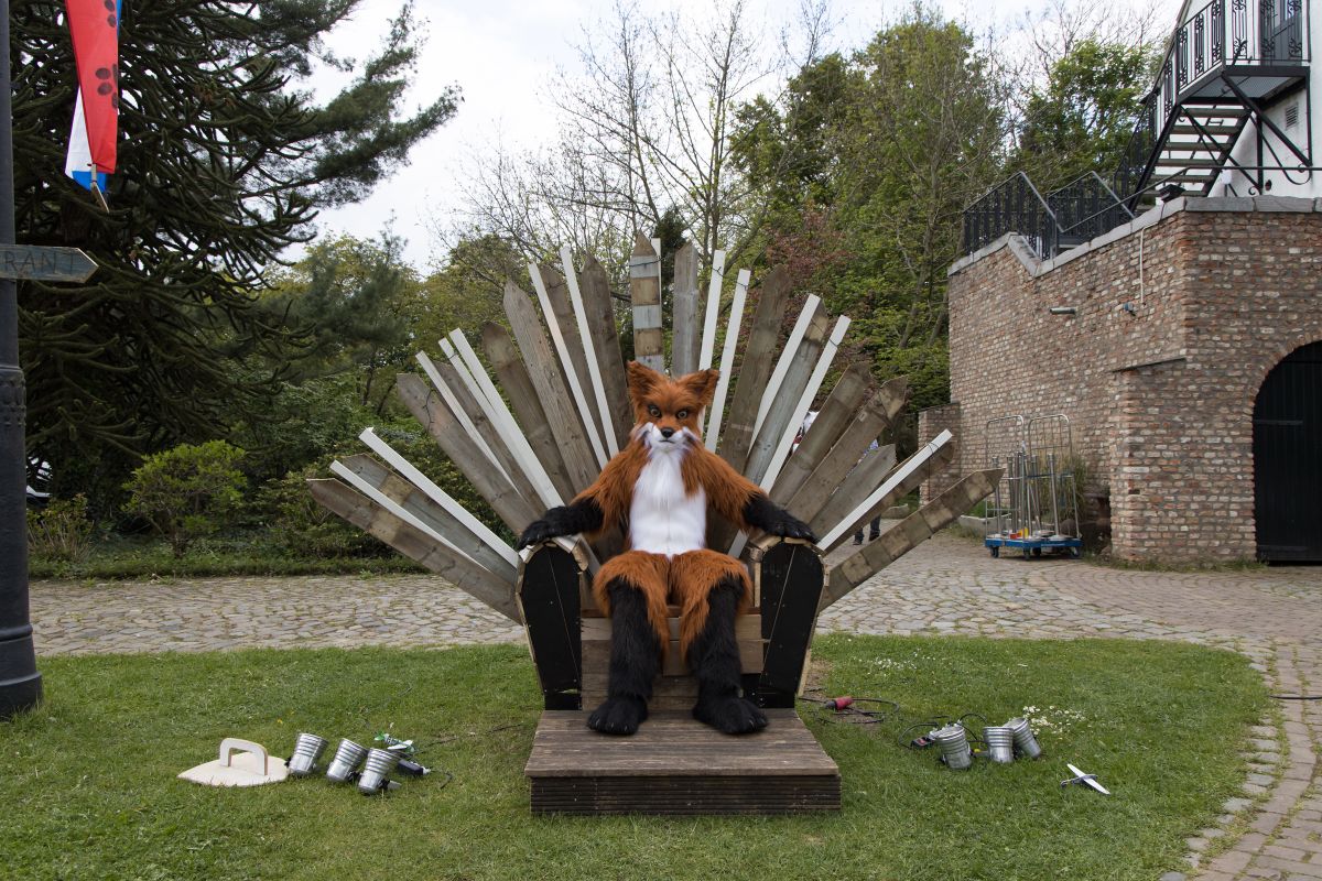 Furry Weekend Holland 2022, Photoshoots