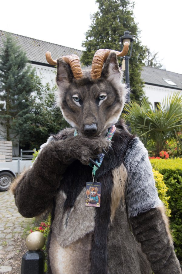 Furry Weekend Holland 2022