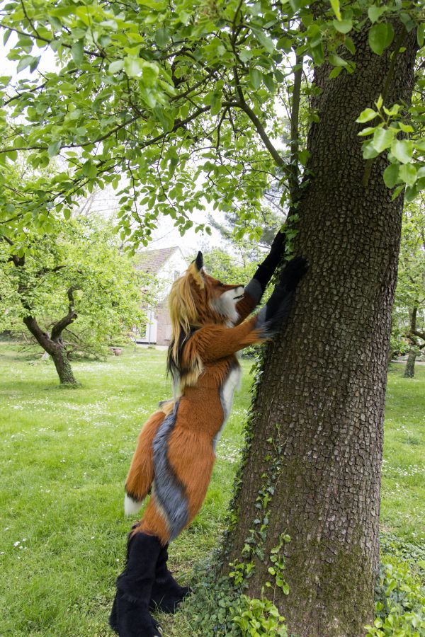 Furry Weekend Holland 2022, Photoshoots