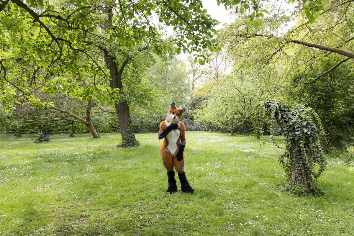 Furry Weekend Holland 2022, Photoshoots