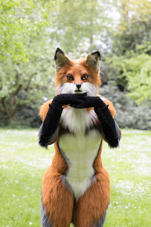 Furry Weekend Holland 2022, Photoshoots