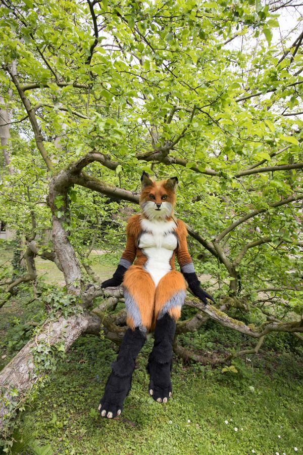 Furry Weekend Holland 2022, Photoshoots