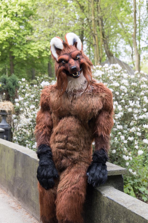 Furry Weekend Holland 2022