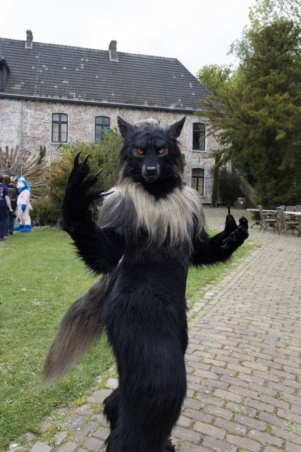Furry Weekend Holland 2022