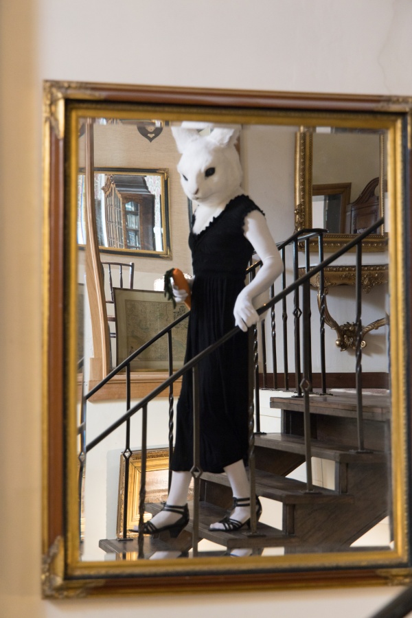 Furry Weekend Holland 2022, Lumie bunny