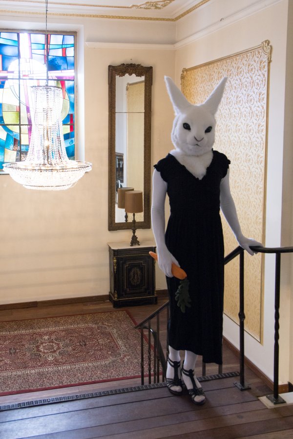 Furry Weekend Holland 2022, Lumie bunny