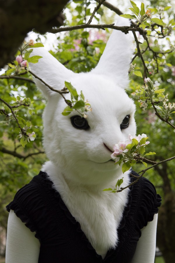 Furry Weekend Holland 2022, Lumie bunny