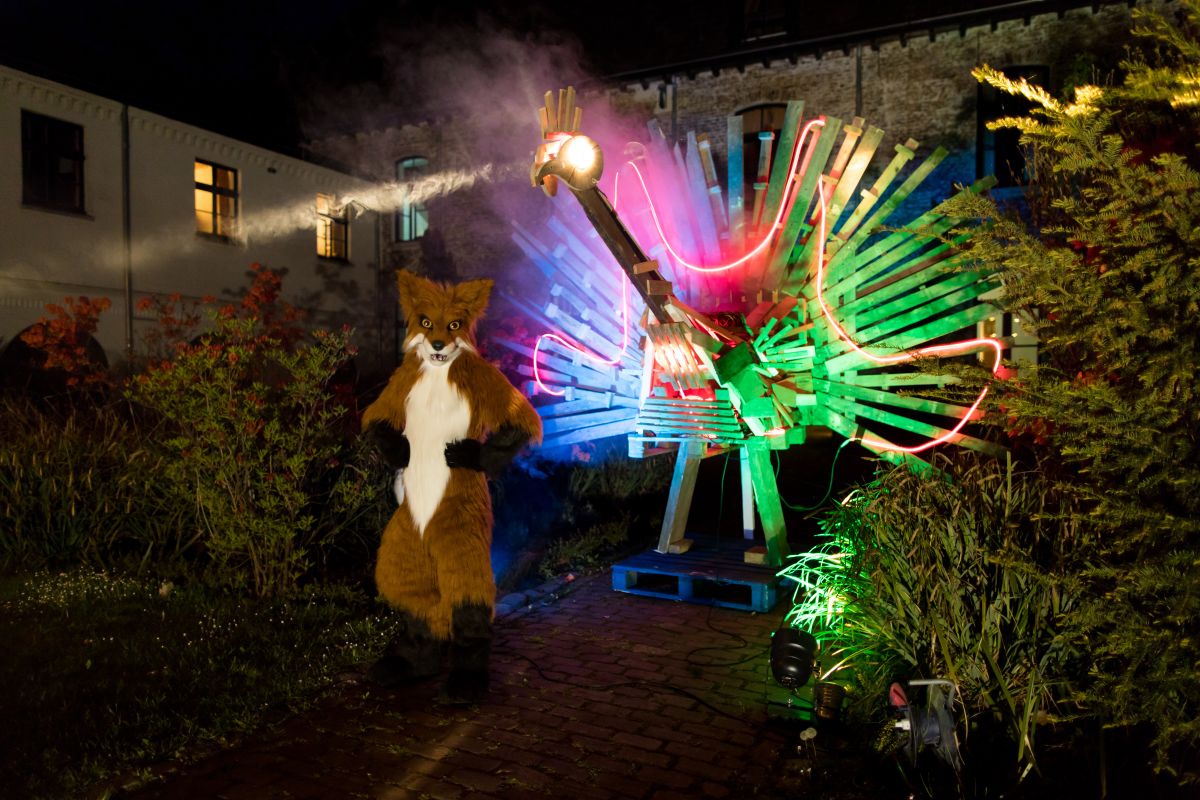 Furry Weekend Holland 2022, Photoshoots