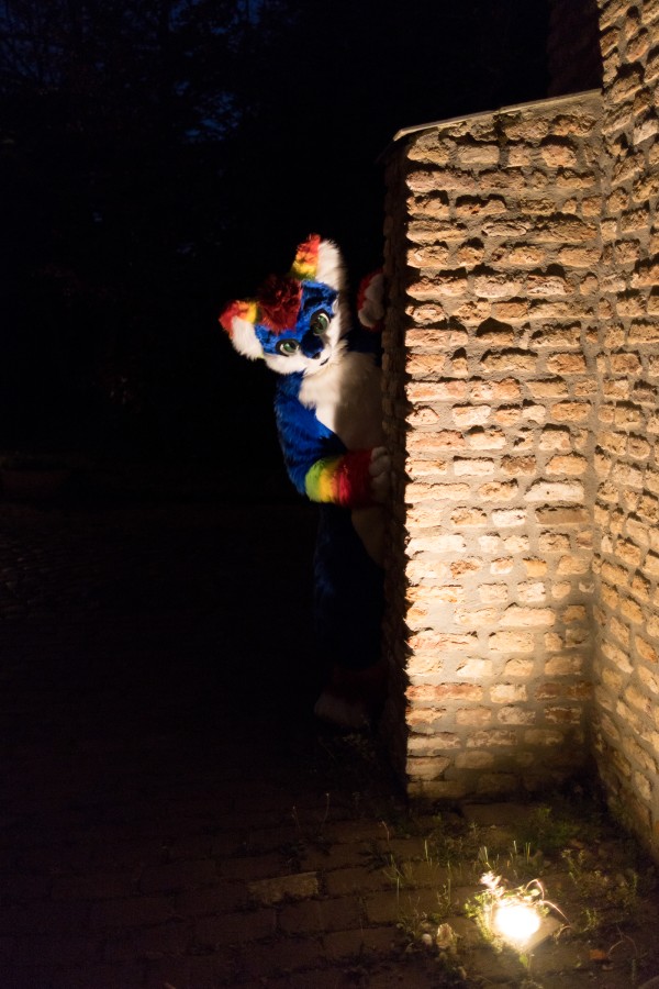 Furry Weekend Holland 2022, Photoshoots